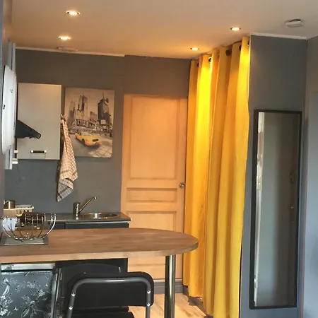 Tres Confortable En Centre Apartment